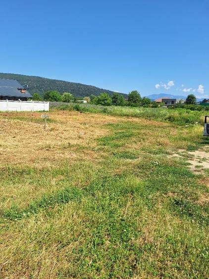 Teren Construcții intravilan de 625 mp, în Malu Alb
