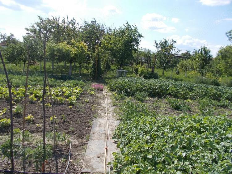 Casă cu 6 camere cu Teren 1600 Mp în Aradului