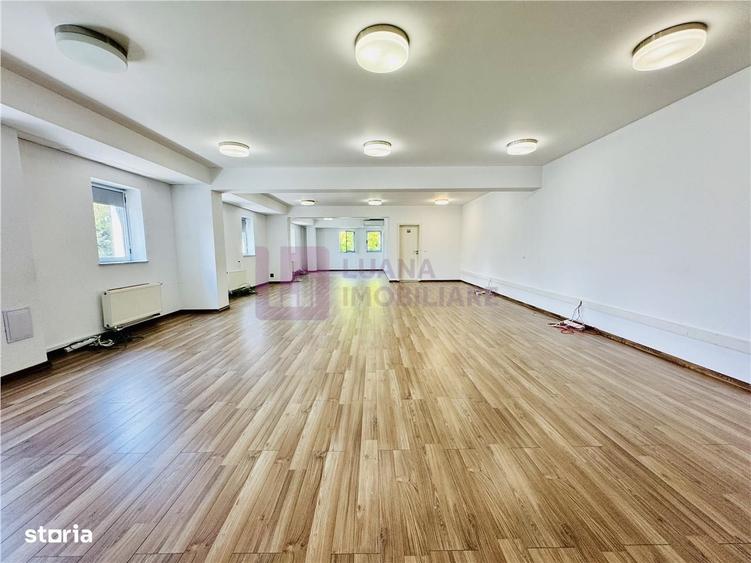 Spațiu comercial, de 330 mp, în Sub Arini