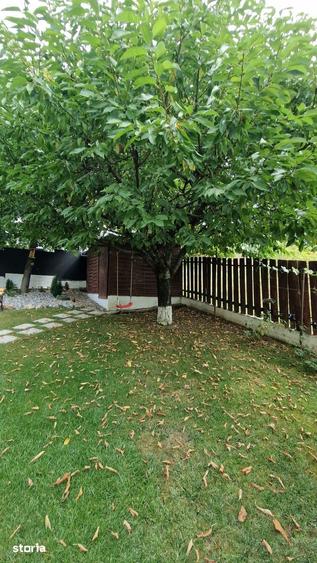 Vila zona Bucium - 5