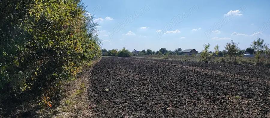 Teren de 3050 mp, în Ordoreanu
