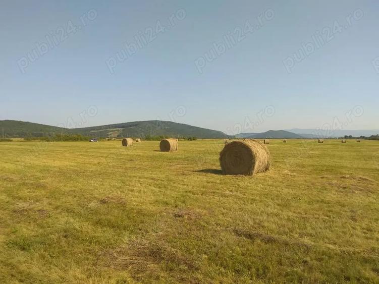 Teren de 5800 mp, în Suseni