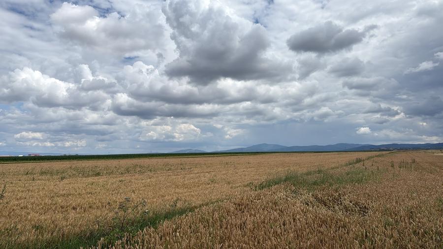 BRASOV,Teren agricol 19.600 mp, 1,96 ha/ Săcele,Front stradal 56 ml,Investiție - 2