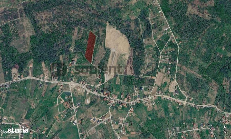 Sapient | Teren extravilan in Saldabagiu de Munte 4.316 mp - 3