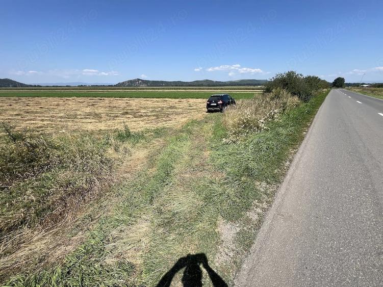 Teren de 5000 mp, în Hărman
