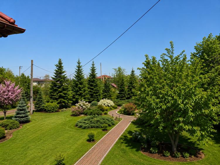 Casă individuală cu 10 camere cu Piscina în Ciorogârla