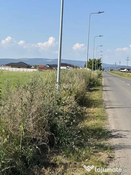 Terenuri pe ?oseaua Bra?ovului in Bod spre Sanpetru - 5