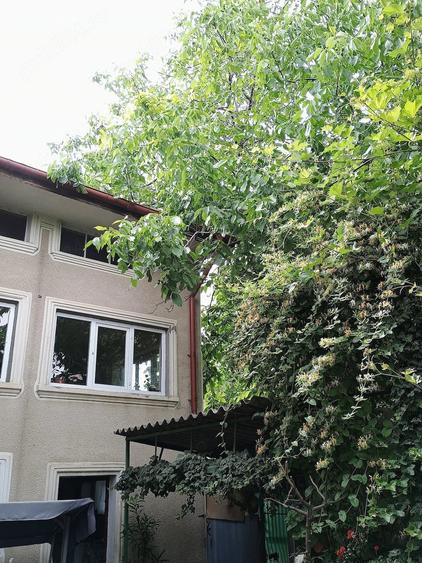 Casă cu 6 camere cu Teren 450 Mp în Berceni