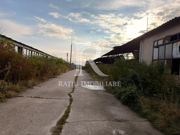Spațiu industrial, de 8,000 mp, în Sărand