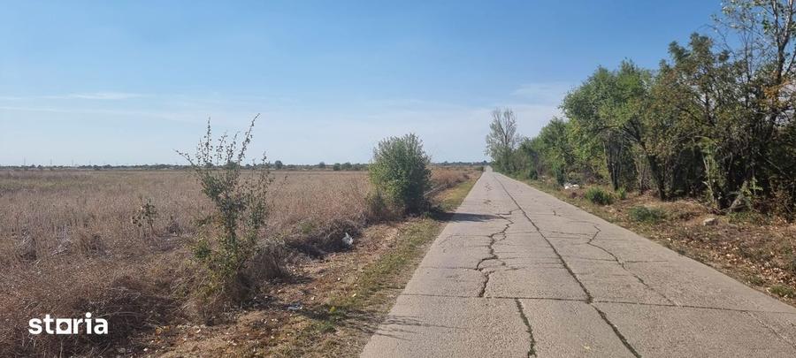 Teren de 10000 mp, în Balotești