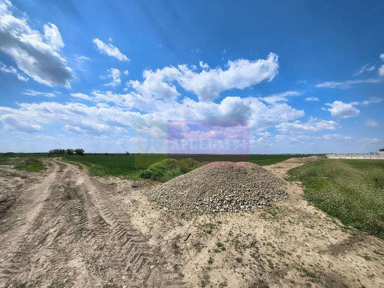 Teren Construcții intravilan de 12450 mp, în Poșta
