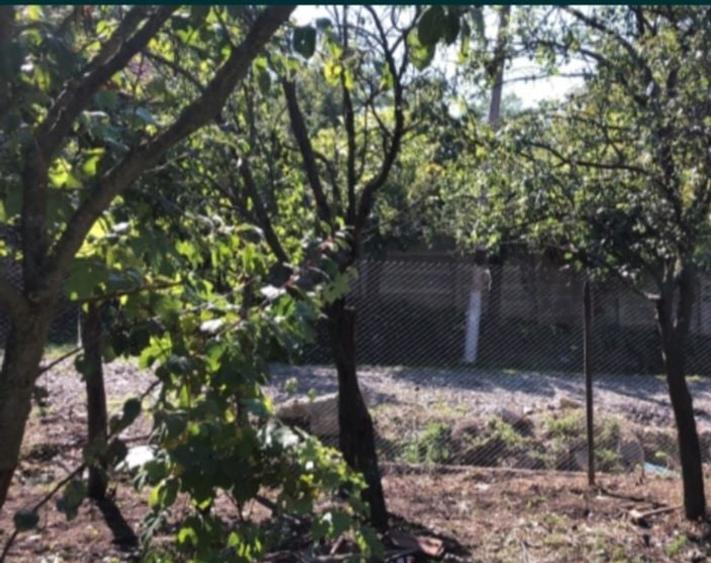Teren Construcții de 1458 mp, în Straja