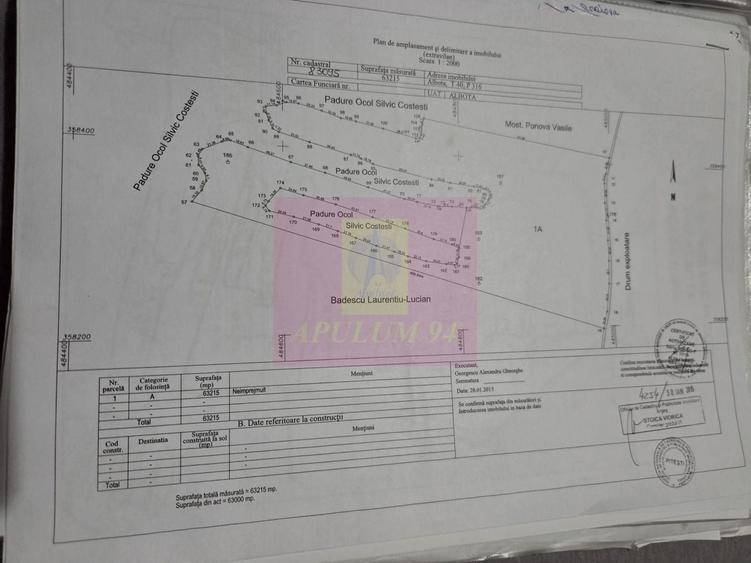 Teren agricol extravilan de 94000 mp, în Albota