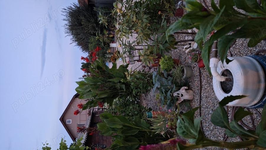 Casă cu 6 camere cu Teren 1412 Mp în Palazu Mare