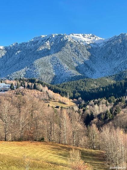Teren de 10000 mp, în Bran