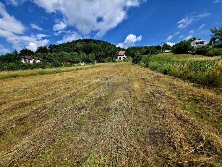 Teren de 600 mp, în Viișoara