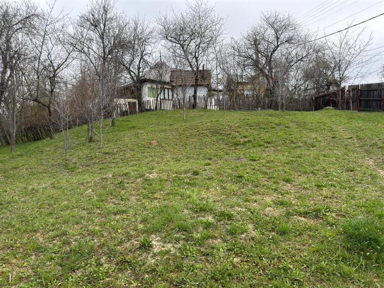 Teren Construcții intravilan de 1518 mp, în Șotrile