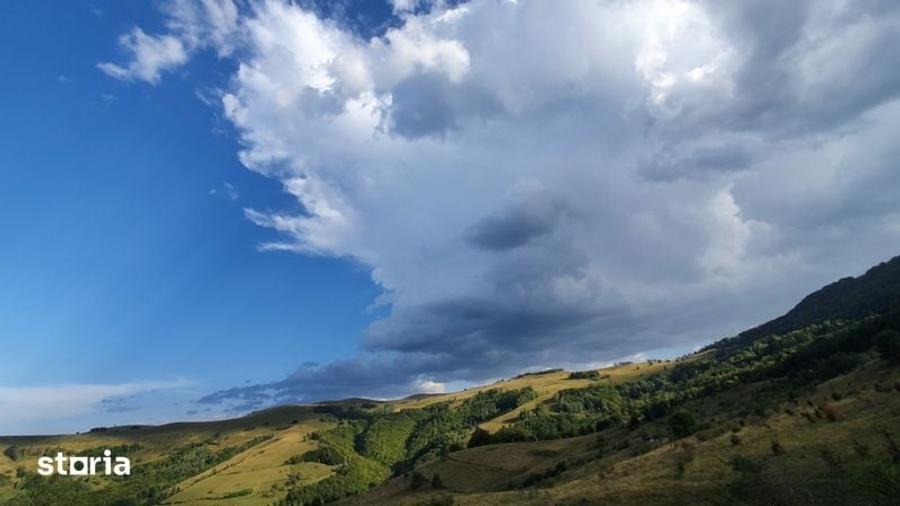 Teren de 13203 mp, în Sălciua
