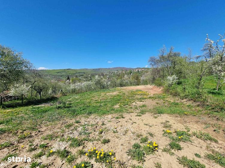 Teren de 1600 mp, în Pucheni