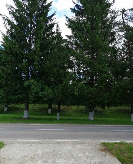 Casă individuală cu 5 camere cu Canalizare în Central