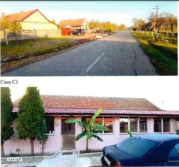2 Case P - 123mp + 70mp + Teren-2.302 mp + Anexe, Sanovita - 5