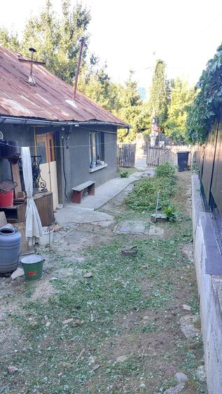 Teren Construcții intravilan de 267 mp, în Târgu Cucu