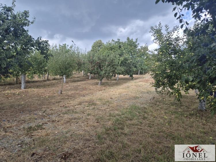 Teren Construcții intravilan de 1436 mp, în Micești