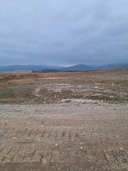 Teren Construcții intravilan de 1450 mp, în Cărpiniș