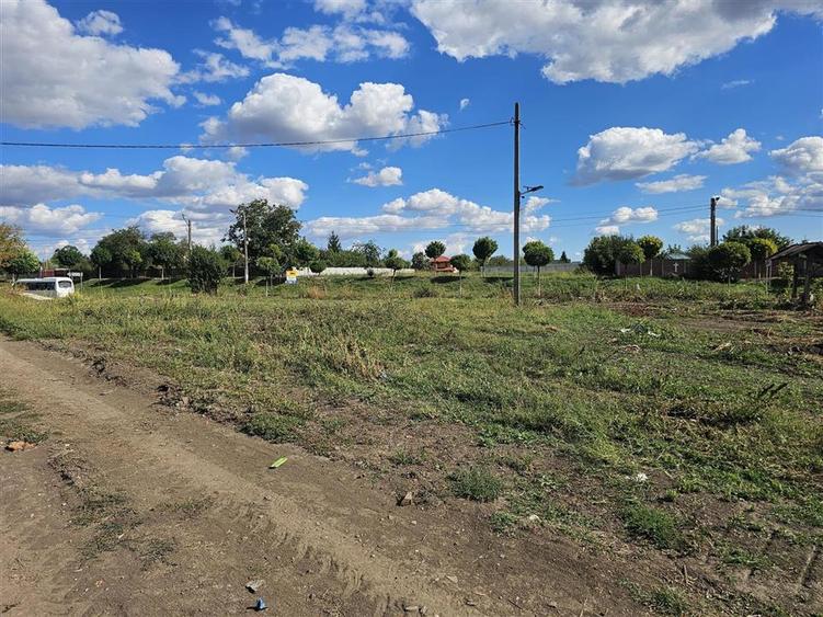 Teren Construcții intravilan de 2529 mp, în Sinești