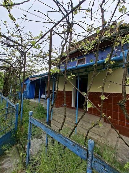 Casă cu 3 camere în Valea