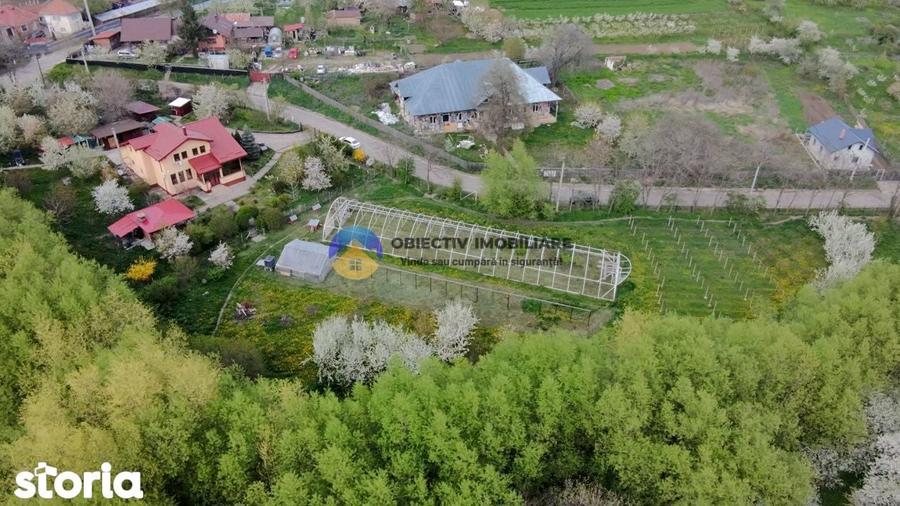 Vila cu 8.800 mp teren in Gura Vaii, la 12 km de Piatra Neamt - 13