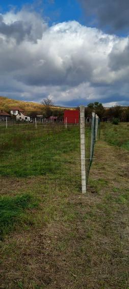 Teren intravilan pentru constructie casa in Balata - 2
