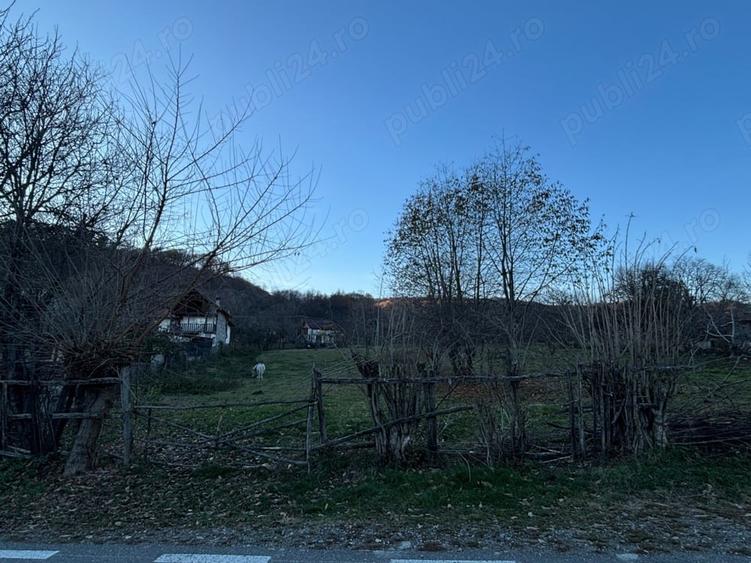 Teren de 1600 mp, în Mihăești