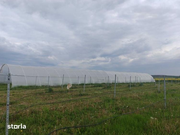 Teren de 9700 mp, în Galda de Jos