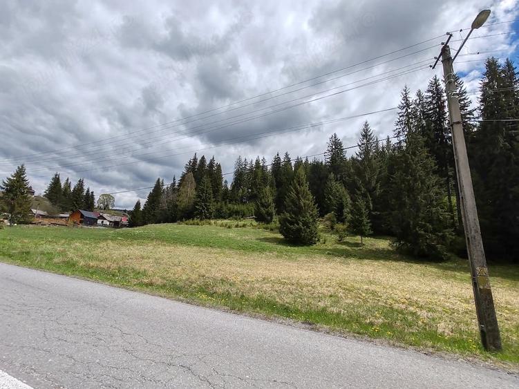 Teren de 10238 mp, în Vale