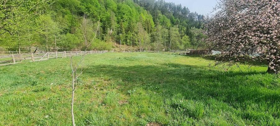 Casă cu 4 camere cu Teren 2727 Mp în Central