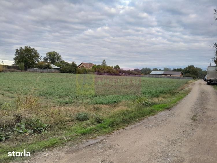 DE VANZARE TEREN 2000 MP - COSERENI( il ) - 2