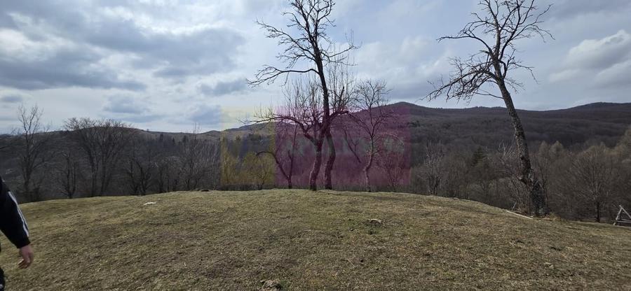 Teren intravilan 2200 mp de vanzare in Valea Doftanei - 6
