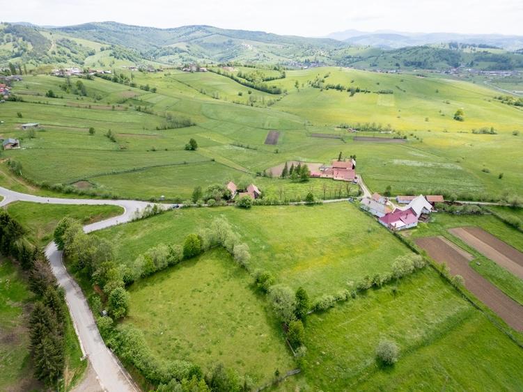 Teren Construcții intravilan de 6000 mp, în Barcani