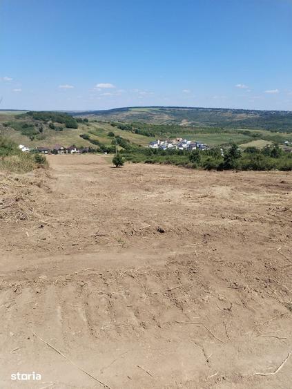 Teren de 10000 mp, în Aroneanu