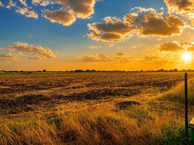 Teren agricol extravilan de 17738 mp, în Bujac