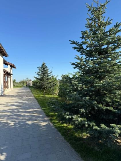 Casă cu 3 camere cu Teren 2500 Mp în Rușeni