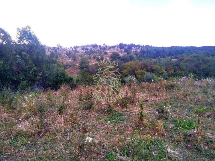Teren agricol extravilan de 6000 mp, în Satu Nou