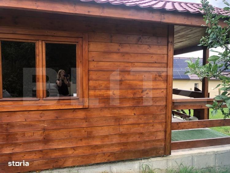Teren de vanzare cu cabana si livada zona Viile Satu Mare - 3