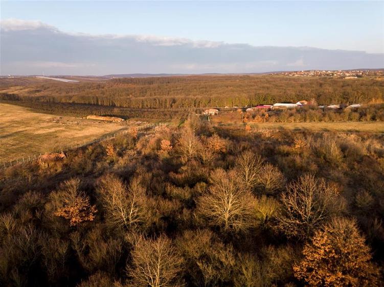 Teren intravilan de 4333 mp, în Săldăbagiu de Munte