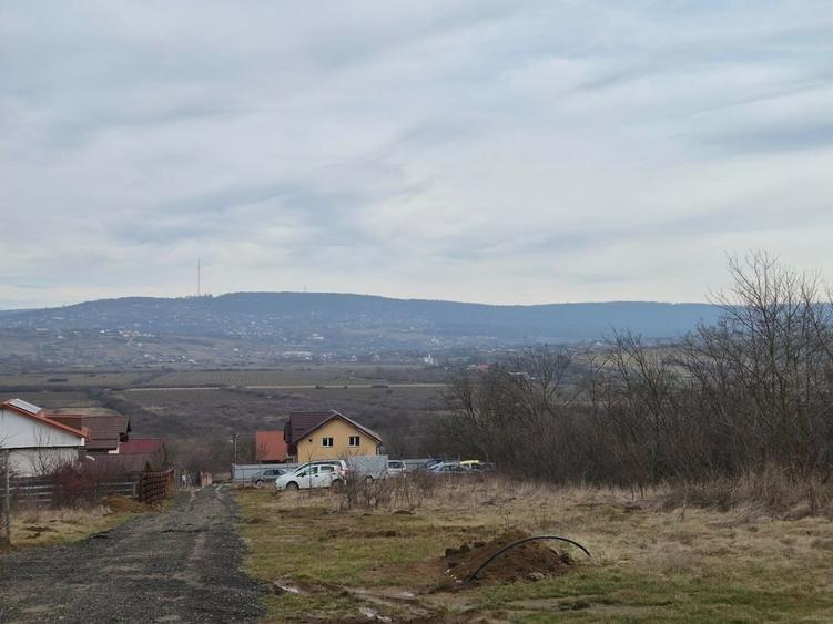Teren de 493 mp, în Ciurea