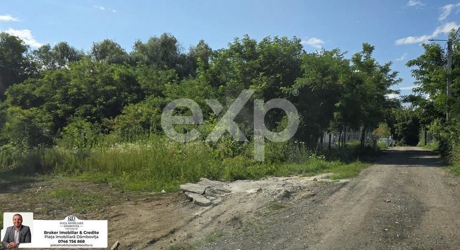 Teren Construcții intravilan de 670 mp, în Viforâta