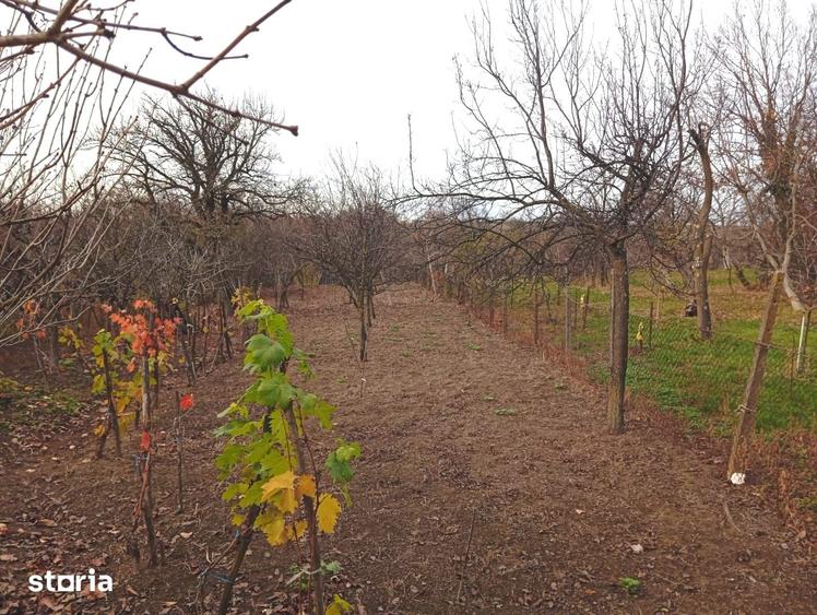 Casă cu 4 camere cu Teren 1200 Mp în Buteni