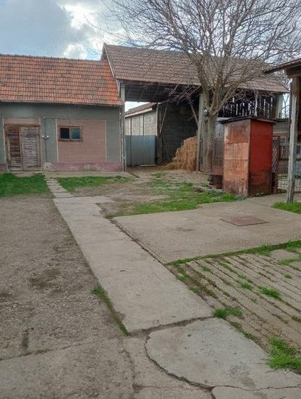 Casă cu 5 camere în Central