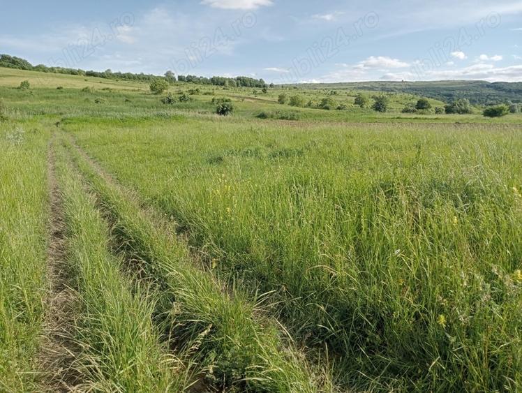 Teren de 1300 mp, în Chinteni